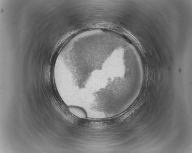 X0000085740298200704131652