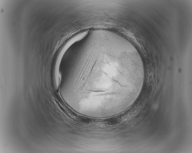 X0000085740299200704131652