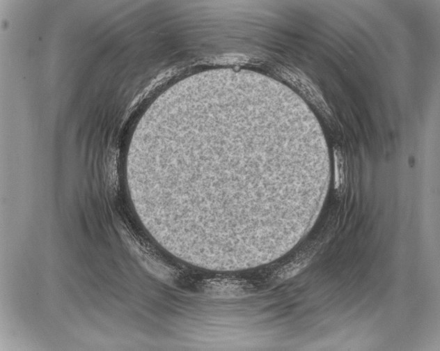X0000085740300200704131652