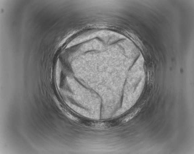 X0000085740301200704131652