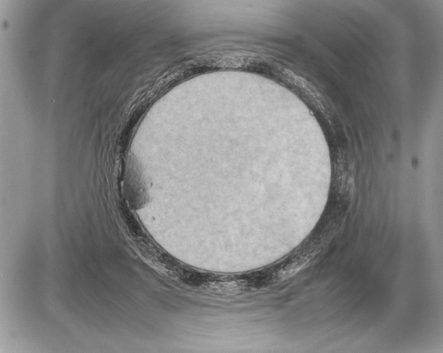 X0000085740307200704131652