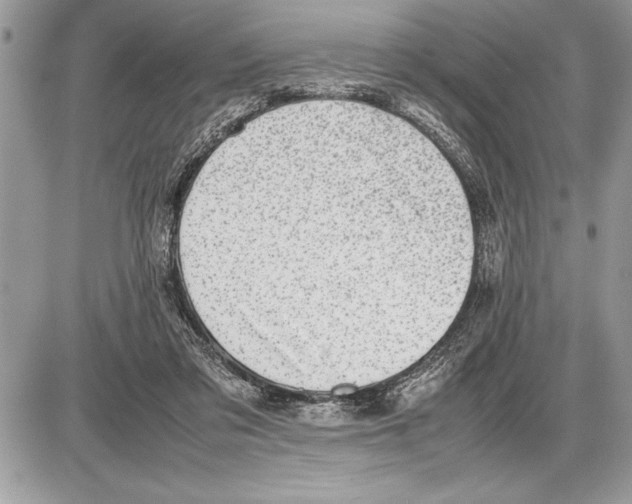X0000085740309200704131651