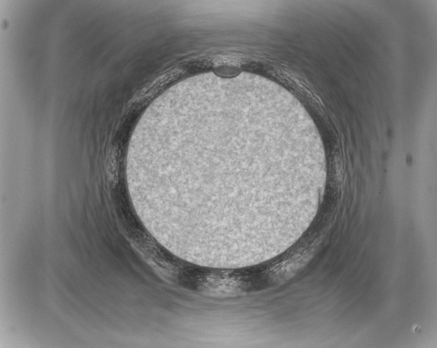 X0000085740311200704131651