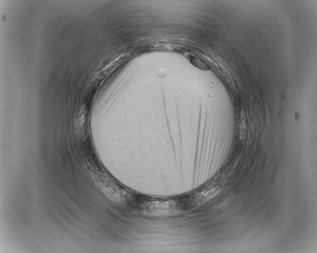 X0000085740314200704131651