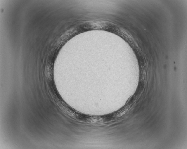 X0000085740317200704131651