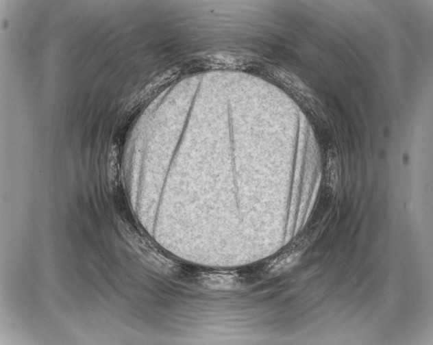 X0000085740318200704131651