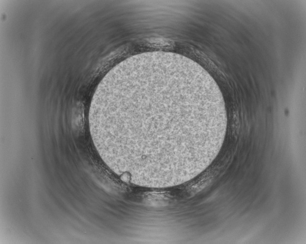 X0000085740320200704131651