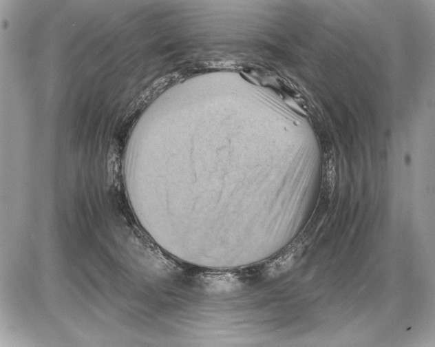 X0000085740322200704131651