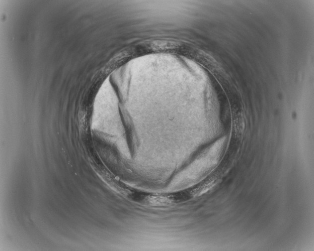 X0000085740327200704131651
