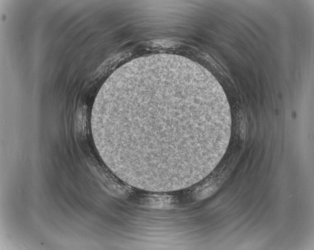 X0000085740328200704131651