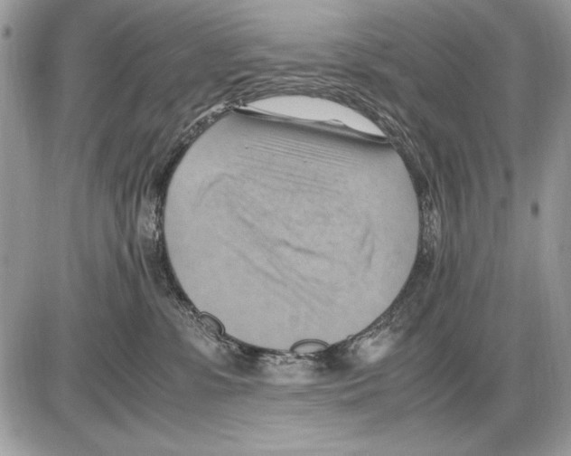 X0000085740331200704131651