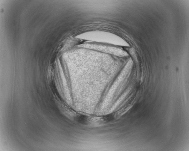 X0000085740333200704131651