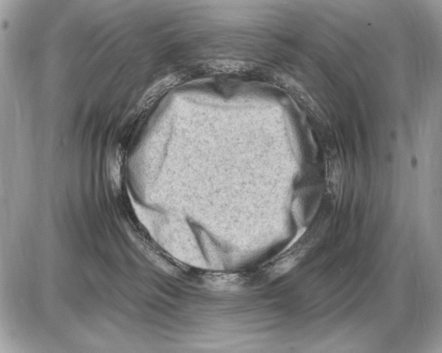 X0000085740334200704131651