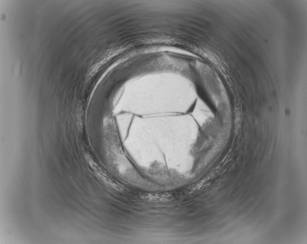 X0000085740345200704131650