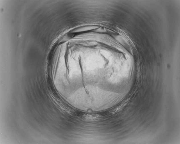 X0000085740346200704131650