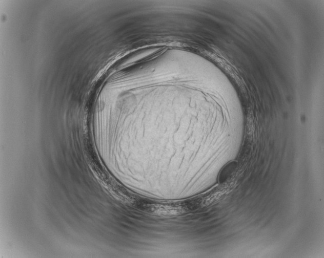 X0000085740347200704131650