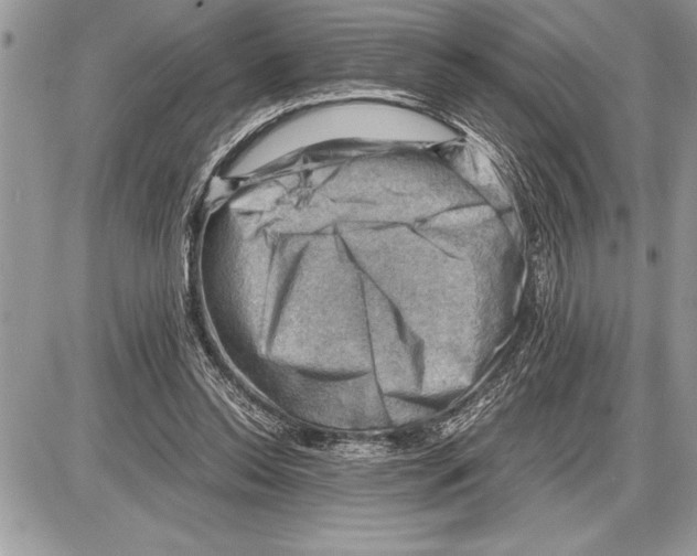X0000085740350200704131650