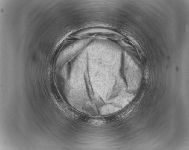 X0000085740352200704131651