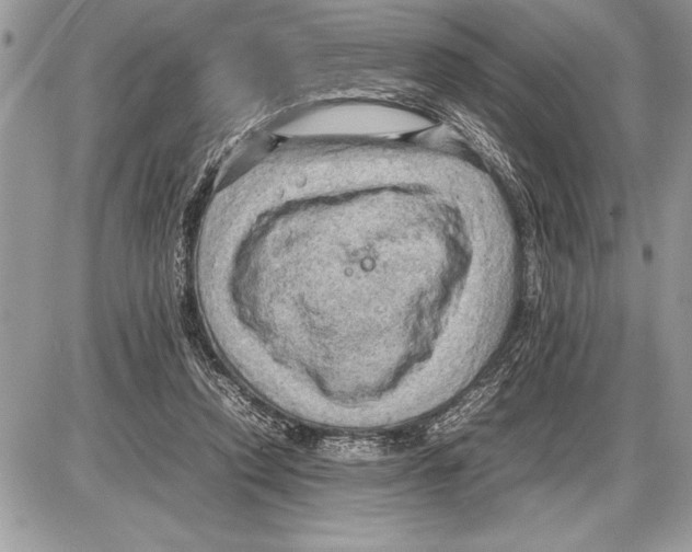 X0000085740354200704131651