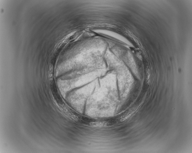 X0000085740356200704131651