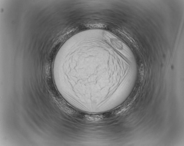 X0000085740359200704131651