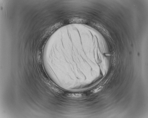 X0000085740361200704131651