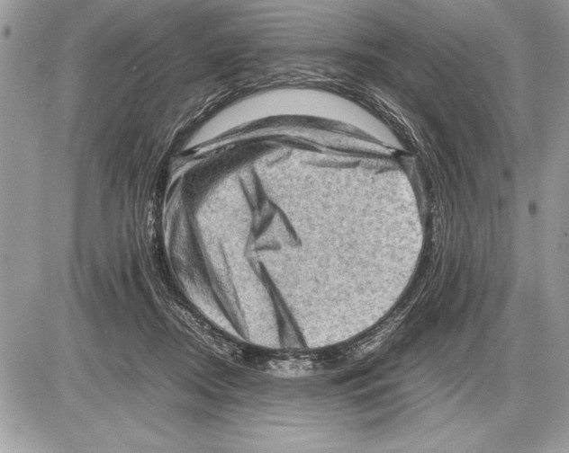 X0000085740362200704131651