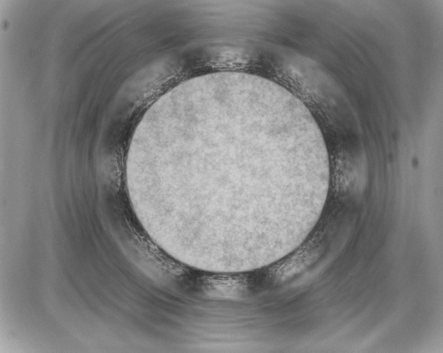 X0000085740370200704131651