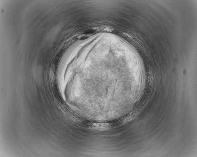 X0000085740371200704131651