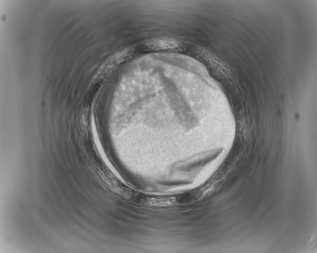 X0000085740373200704131651