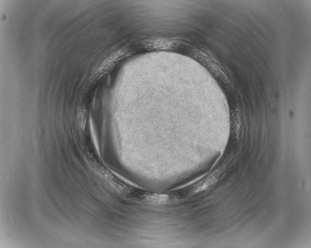 X0000085740374200704131651