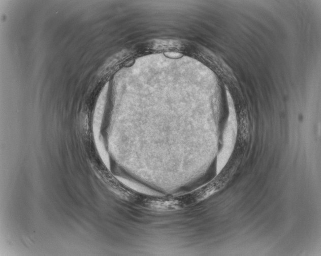 X0000085740375200704131651