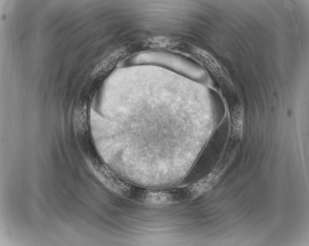 X0000085740376200704131651