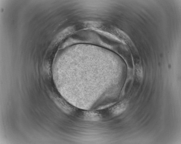 X0000085740380200704131651
