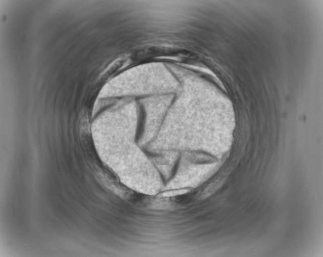 X0000085740384200704131651