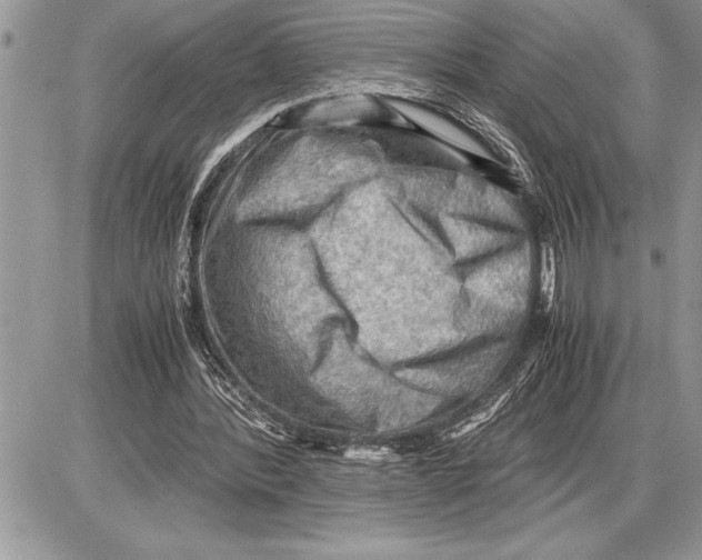 X0000085740388200704131650