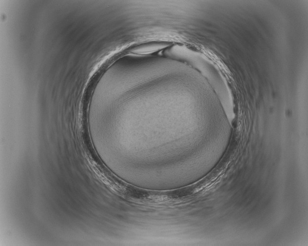 X0000085740391200704131650