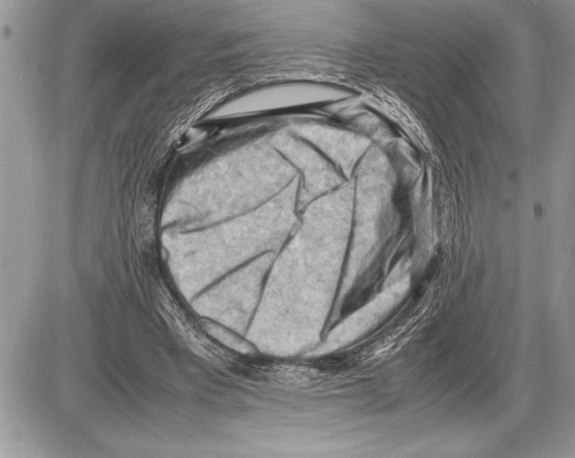 X0000085740393200704131650