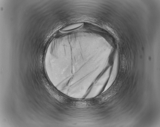 X0000085740394200704131650