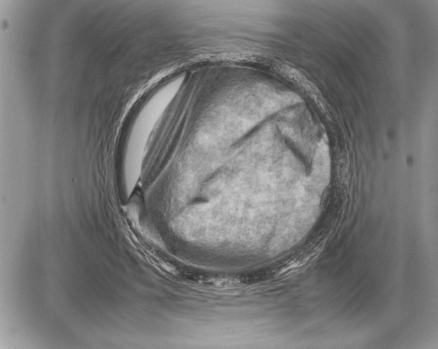 X0000085740395200704131650