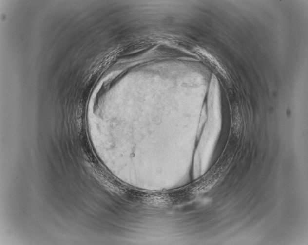 X0000085740402200704131650