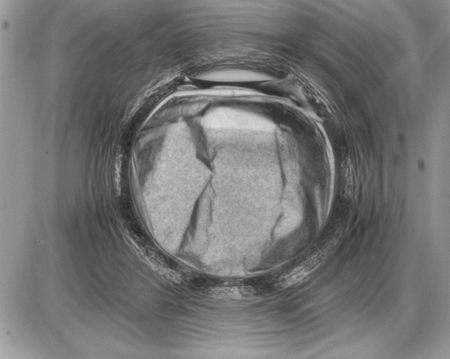 X0000085740404200704131650