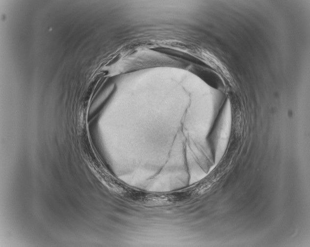 X0000085740405200704131650