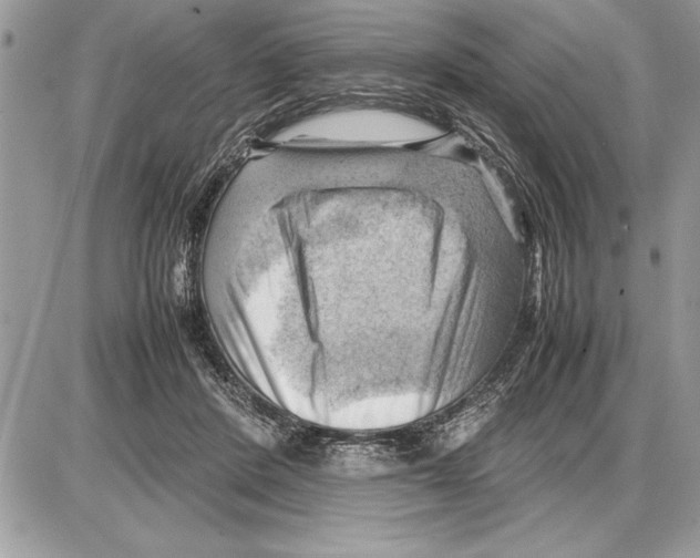 X0000085740408200704131650