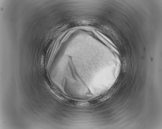 X0000085740410200704131650