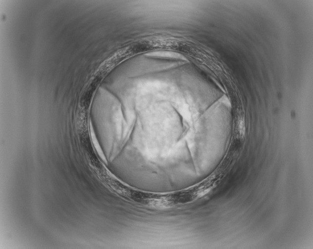 X0000085740411200704131650