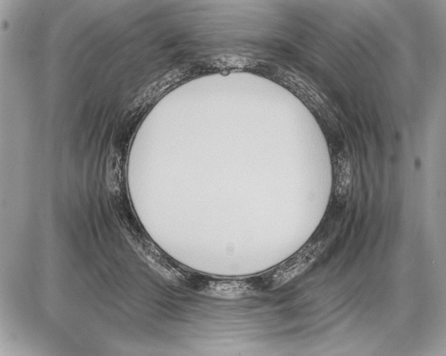 X0000085740414200704131650