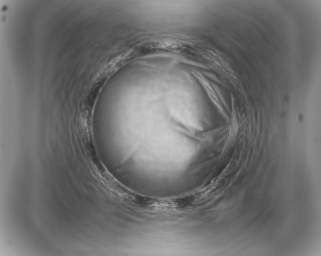 X0000085740415200704131650