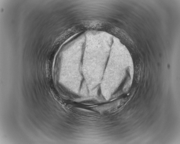 X0000085740416200704131650