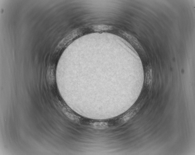 X0000085740426200704131650